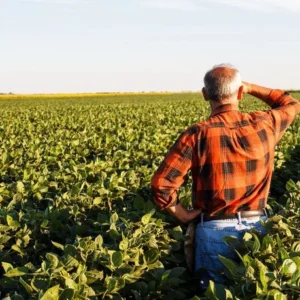 Agricultor em sua lavoura